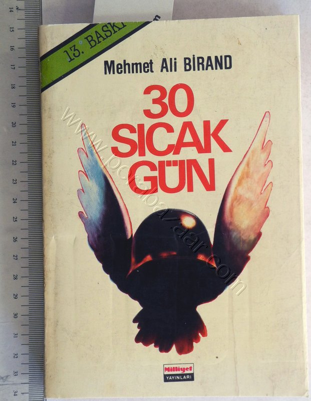30 Sıcak Gün, Mehmet Ali Birand
